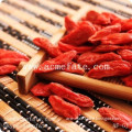 Natural Sun Dried Goji Berries Barbary Wolfberry Fruit